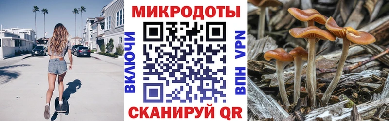 Галлюциногенные грибы Cubensis  кракен рабочий сайт  Гусиноозёрск 